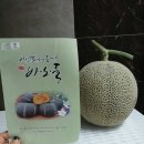 바노마트 네이버블로그