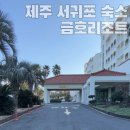 양실로(남) | 제주 서귀포 숙소 금호리조트 스위트 양실 숙박 후기