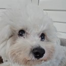 김진우수학학원 이미지