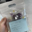 뭉개뭉개인강릉
