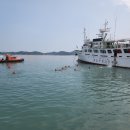 완도수산고등학교 이미지