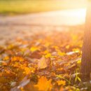 EASY임승훈행정사사무소 이미지