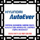 현대오토에버 채용 / 2025년 하반기 신입 개발자 집중 채용 이미지