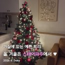 119-운정2-119 | 파주감성숙소 '스테이파주 ' : 서울 근교 크리스마스 트리 에어비앤비 내돈내산 솔직 후기