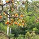 죽봉마을회관 이미지