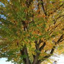 반계1리마을회관 이미지