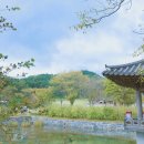 구름이 그린 달빛 이미지