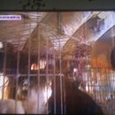 부연농장 이미지