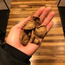 힐링알토스 협동조합 이미지