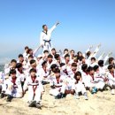 태풍태권도 이미지