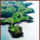 (주)파인비치 이미지