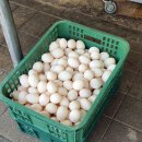 장성닭집 이미지