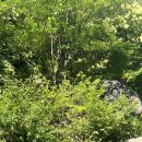 용소계곡 주차장 화장실 이미지