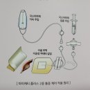 마미캐티 이미지