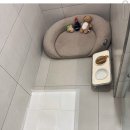 김해애견호텔 강아지유치원 맘바이 김해점 이미지