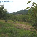 용흥리축사 이미지