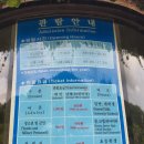 관산리1호 | 전라남도 순천 갈만한 곳 고인돌 공원