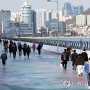 광안해변로 이미지