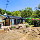 은행나무3길 이미지