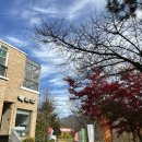 임립미술관 | 공주 미술관 여행｜임립미술관 솔직 후기