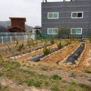 곤의농장 이미지