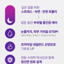 호성식품 | 강아지영양제 고를 때 주의점! 밤 전용 올인원이 편한 이유