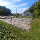 곡성-239 이미지