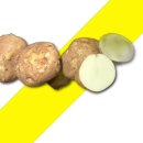 소.프랜드 이미지