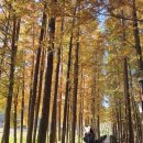 송하펜션 이미지