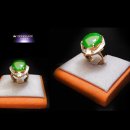 드비취이 이미지