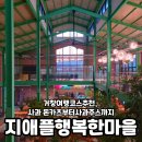 사과나무작은도서관 | 거창여행코스추천, 사과 돈카츠부터 사과주스까지 지애플행복한마을