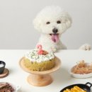 반려식탁 이미지