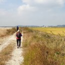 회현면사무소 이미지