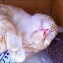 장창주농장 이미지