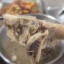 거한상 | 거제 고현 점심 맛집 거한정, 가성비 끝판왕 점심특선과 프리미엄 한우밀면 후기!