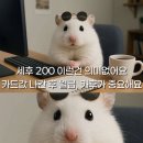 듀레베이커리 이미지