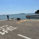 장봉행정사 이미지