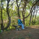 미주목장 이미지