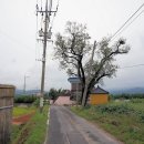 모화2리 이미지