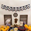 글로리 애견 유치원 이미지