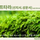 35주(5/26-화)＜하프타라＞-"나쏘(사사기13:2~25)"(선지서.성문서읽기와 해 이미지