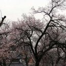 죽바위로 이미지