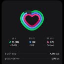 한식단(주) - 영등포구 | 마이옵티멀(스위치온) 다이어트 1주차 (68.7 > 65.8 / 2.9kg 감량)