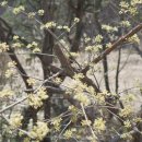 두방마을경로당 이미지