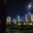 파라디아1차 이미지