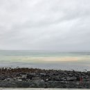 오후애월 이미지