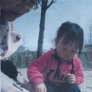 봉암어린이집 이미지