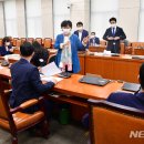 서영교 카카오 검색결과