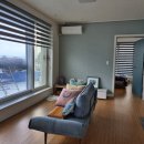 풀꽃마중 이미지