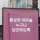 제플린살롱